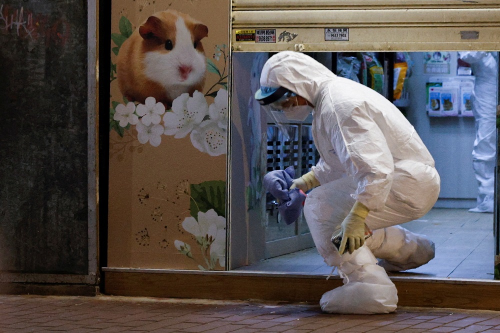 A wildlife officer wearing personal protective equipment leaves a temporarily closed pet shop in Hong Kong January 18, 2022. u00e2u20acu2022 Reuters file pic