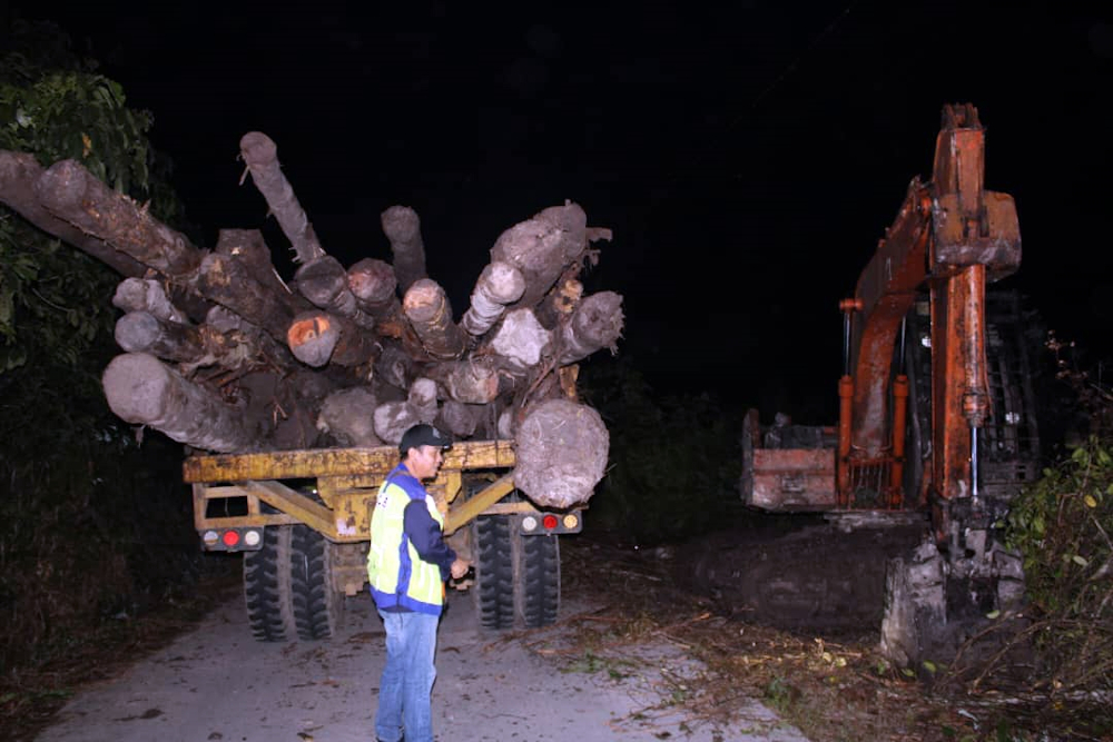The seized items have been handed over to Sarikei Forest Department. u00e2u20acu201d Borneo Post pic