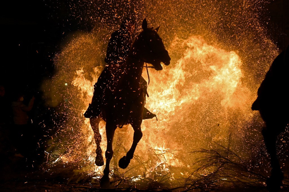 A horseman rides through a bonfire in the village of San Bartolome de Pinares during the traditional religious festival of u00e2u20acu02dcLas Luminariasu00e2u20acu2122 in honour of San Antonio Abad (Saint Anthony), patron saint of animals, on January 16, 2022. u00e2u20acu201d AFP pic