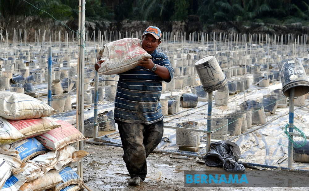 Deputy Agriculture and Food Industry Minister I Datuk Seri Ahmad Hamzah cited the example of the agrofood sector in Melaka, where over 275 livestock breeders and farmers suffered losses of around RM2.83 million. u00e2u20acu201d Picture from Twitter/Bernama 