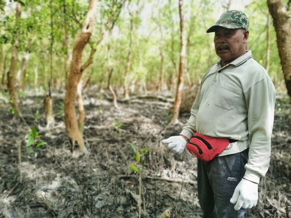 A Malaysian fisherman carries mangrove saplings ahead of planting in Sungai Acheh in Penang December 28, 2021. u00e2u20acu201d Reuters picnnn