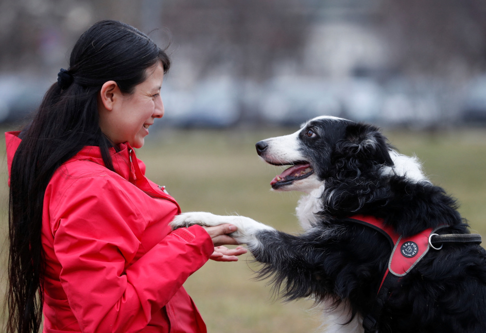 Postdoctoral researcher Laura V. Cuaya talks to her dog Kun-kun, an 8-year-old Border Collie, at the Ethology Department of the Eotvos Lorand University in Budapest January 5, 2022. u00e2u20acu201d Reuters pic