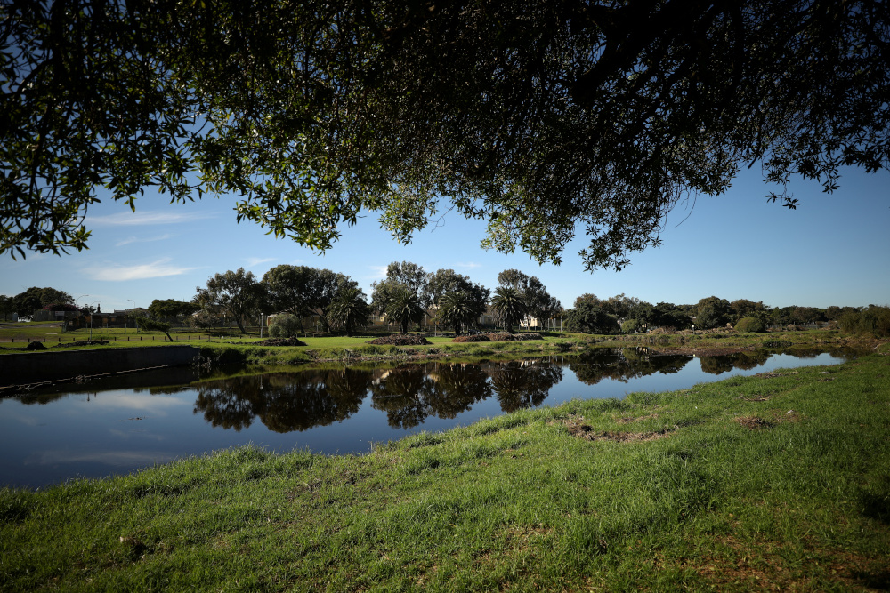 Trees line the banks of the historically significant Liesbeek River, close to the site of a development which includes a new Africa headquarters for Amazon, in Cape Town, South Africa, May 23, 2021.