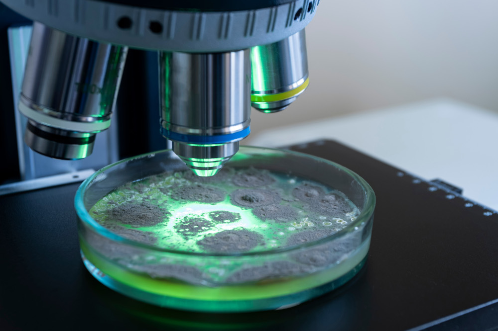 There are a thousand billion species of microorganisms, but not all are nasty microbes. u00e2u20acu201d Prrrettty/Shutterstock pic via ETX Studio