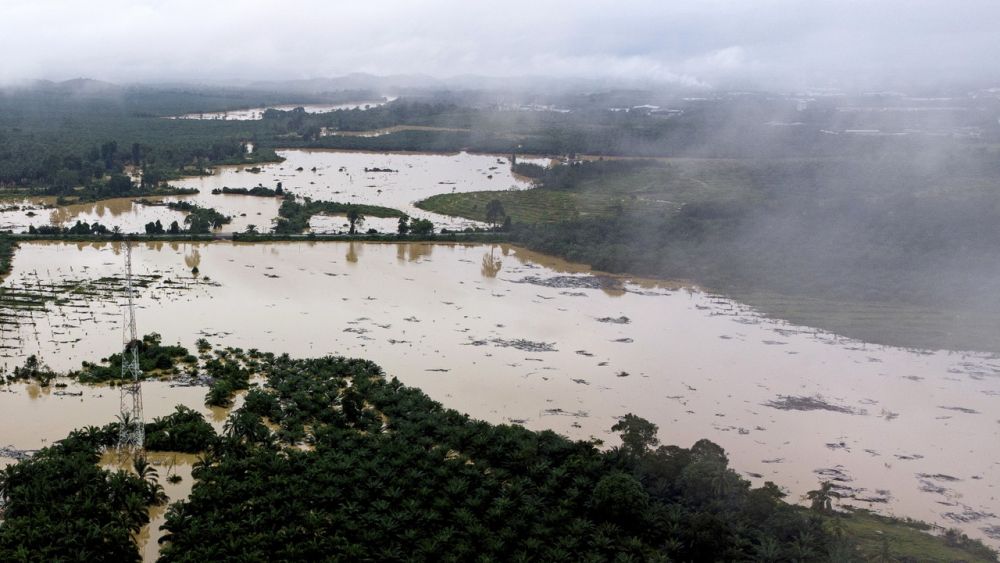 A palm oil plantation is inundated by floodwaters in Tampin January 4, 2022. u00e2u20acu201d Bernama pic