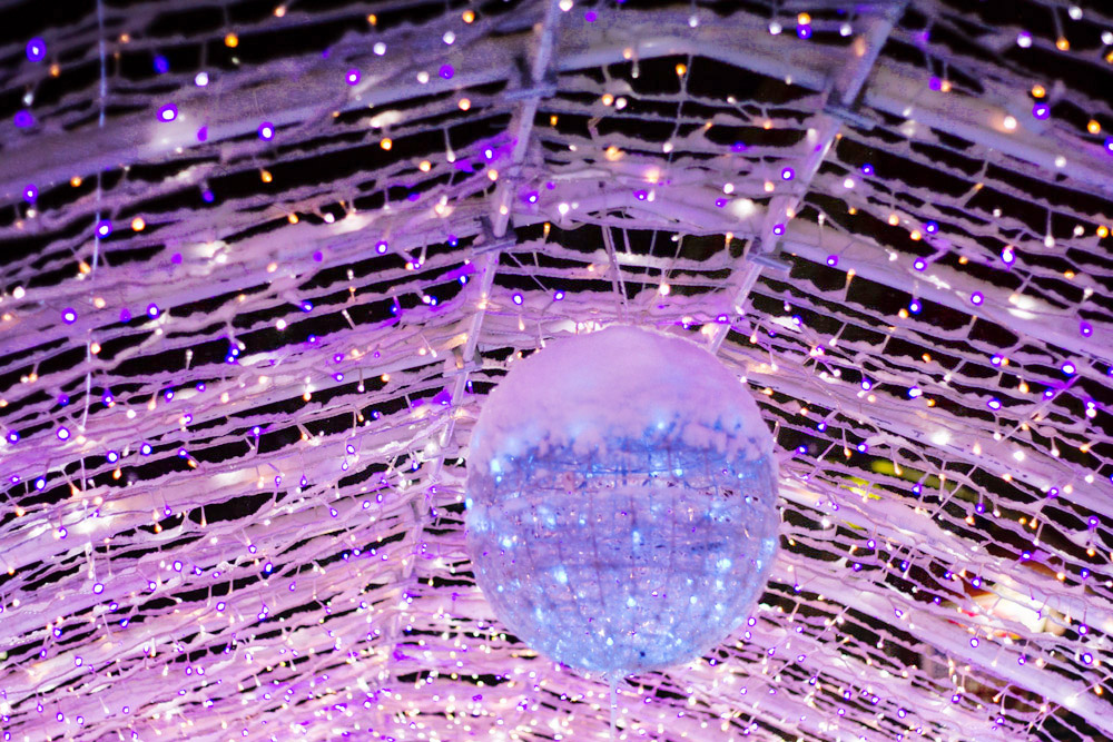 Amidst strings of fairy lights, a single snow globe is glowing, like a winter moon.