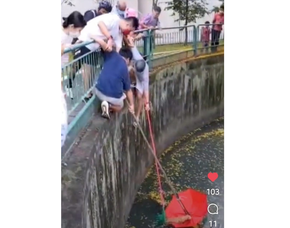 A cat that fell into a canal in Singapore had been rescued using an umbrella and a USB cord. u00e2u20acu201d Screen capture via Instagram/ raisingmylittlekays