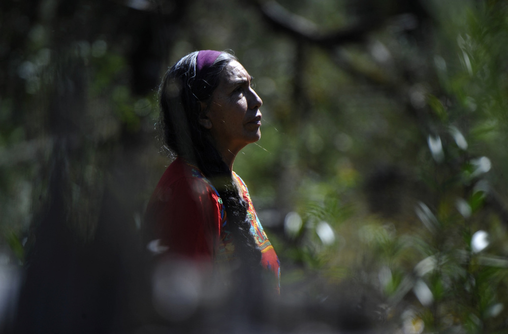 Envirormental activist Filiberta Nevado, shows illegally felled trees in the forests of the town of Zacacuautla, municipality of Acaxochitlan, Hidalgo state, Mexico. u00e2u20acu201d AFP pic