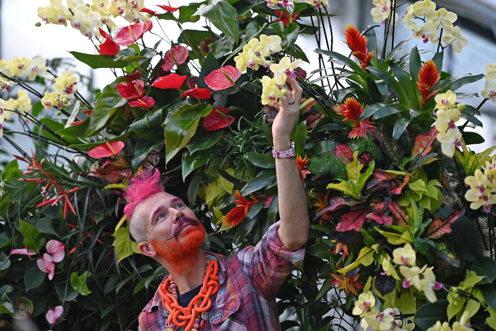 Master Florist Henck Roling poses with a display of Orchids during a photocall for the Kew Orchid Festival: Costa Rica, at the Princess of Wales Conservatory in the Royal Botanic Gardens in Kew. u00e2u20acu201d AFP pic