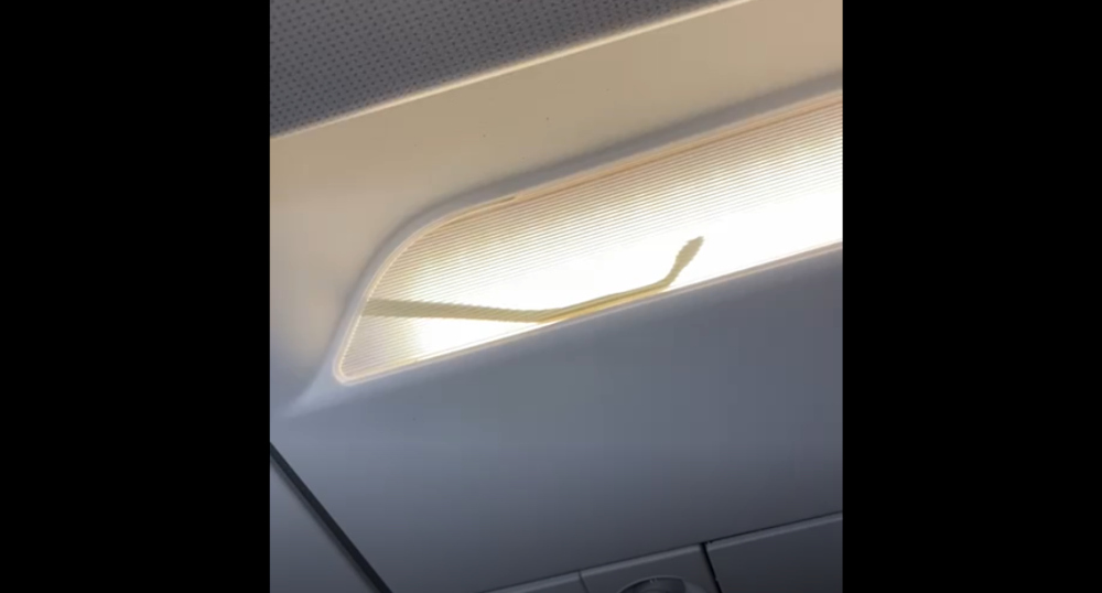AirAsia Group confirmed u00e2u20acu02dcan incidentu00e2u20acu2122 on board one of its aircraft, after being asked about a video and message from social media alleging that a snake was sighted by passengers in the cabin while en route from Kuala Lumpur to Tawau yesterday. u00e2u20acu2022 Pic