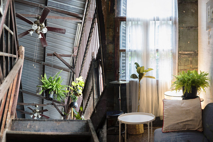Walk upstairs and it’s a different world altogether with potted greens and warm sunlight.