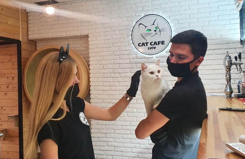 A cat cafe in Lviv, Ukraine remains open despite the country being attacked by Russia as they wanted to provide a safe space for people to stop by. u00e2u20acu201d Picture via Facebook/ Cat Cafe