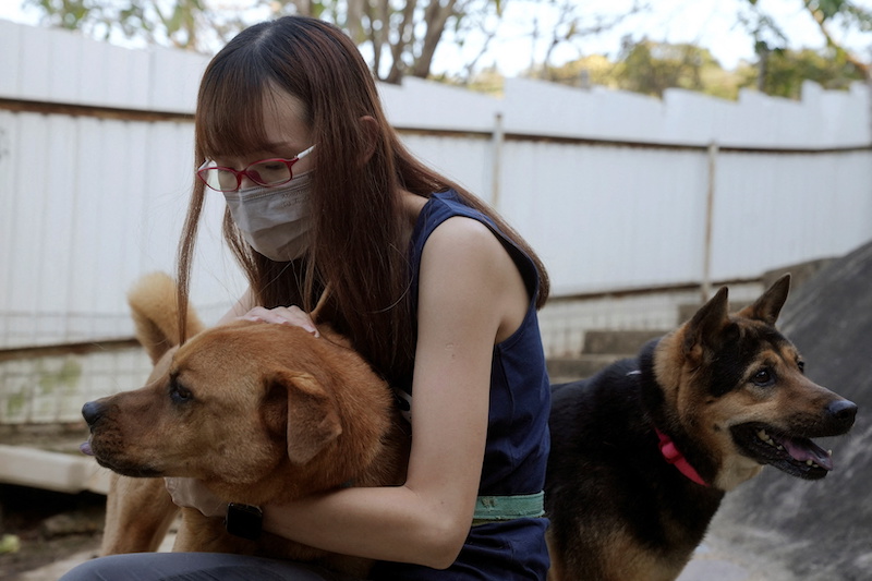 Eva Sit from Hong Kong Dog Rescue seen with abandoned dogs Roxy and Cassius, left behind after their owner flew home to Britain, at their shelter at Tai Po, in Hong Kong, China March 9, 2022. u00e2u20acu201d Reuters pic