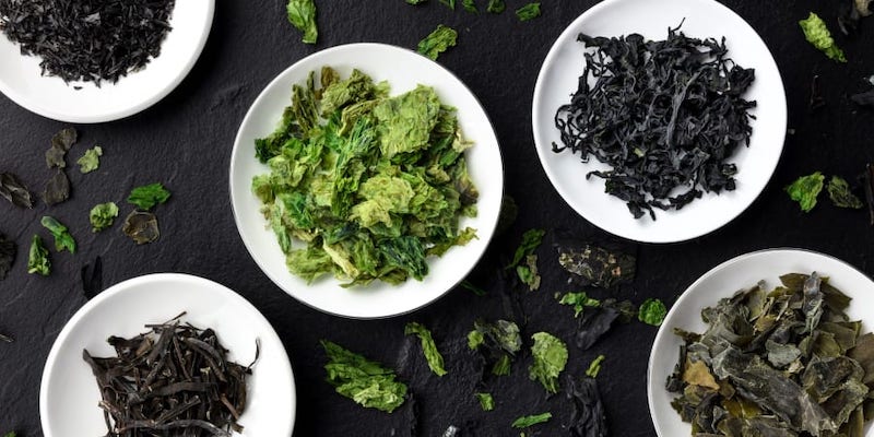 The algae market is expected to grow by nearly 7 per cent by 2026. u00e2u20acu201d Picture courtesy of Plateresca / Shutterstock