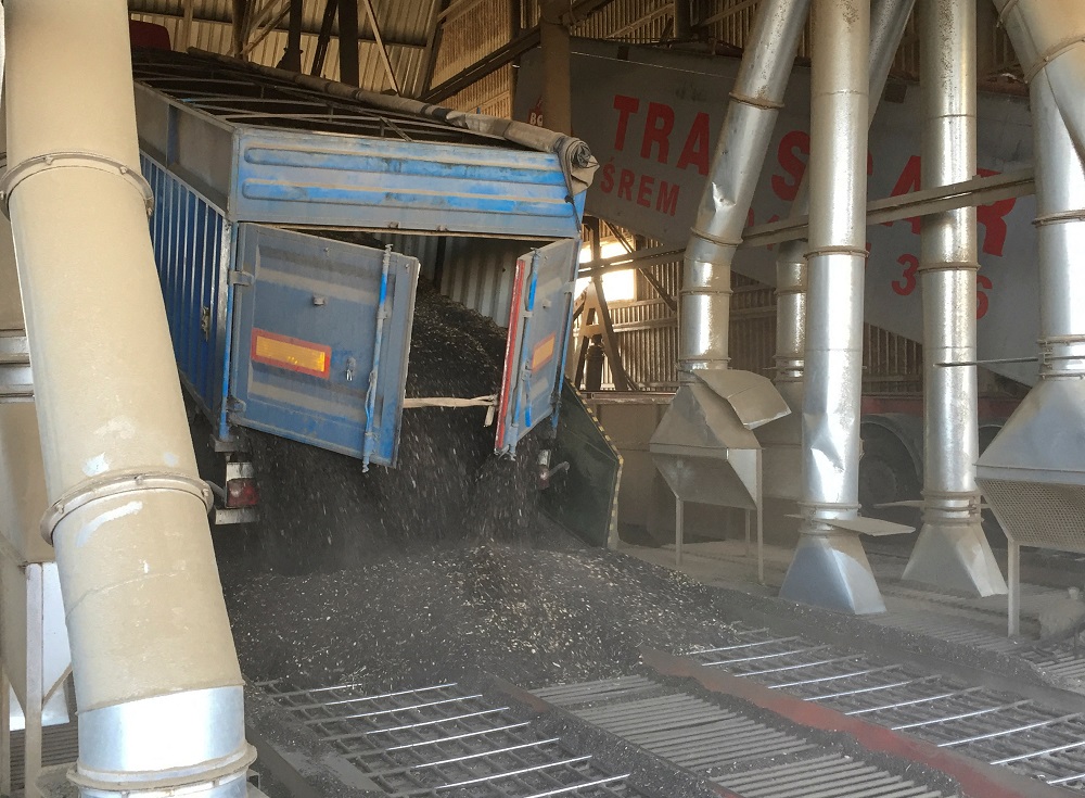 A truck unloads sunflower seeds at the Allseeds multiseeds oil extraction plant in Yuzhne, Ukraine October 9, 2018. u00e2u20acu201d Reuters pic