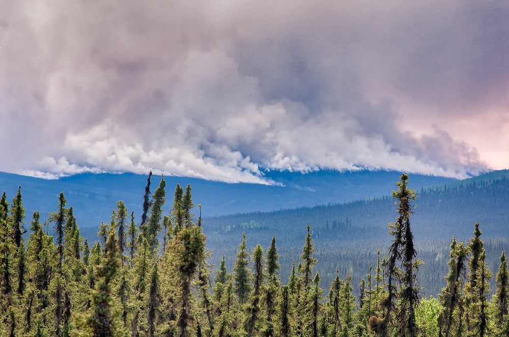 Wildfires such as those that ravaged Australia, Canada and the United States in recent years are forecast to get worse with climate change. u00e2u20acu201d ETX Studio pic