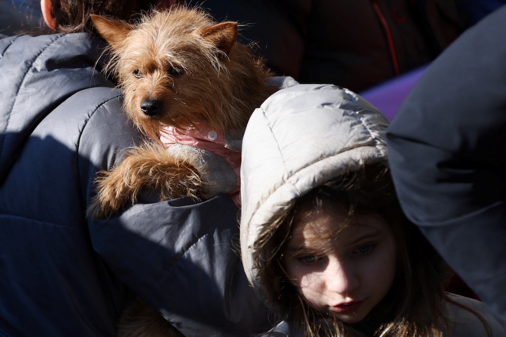 A person holds a dog as people wait outside an immigration office after fleeing from Ukraine to Belgium, following Russia's invasion of Ukraine, in Brussels, Belgium March 7, 2022. u00e2u20acu201d Reuters picn n