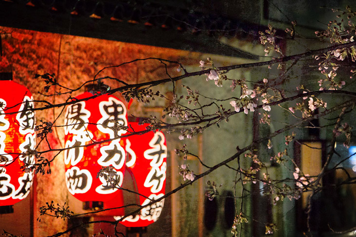 Red lanterns along Kiyamachi-dori in Kyoto.