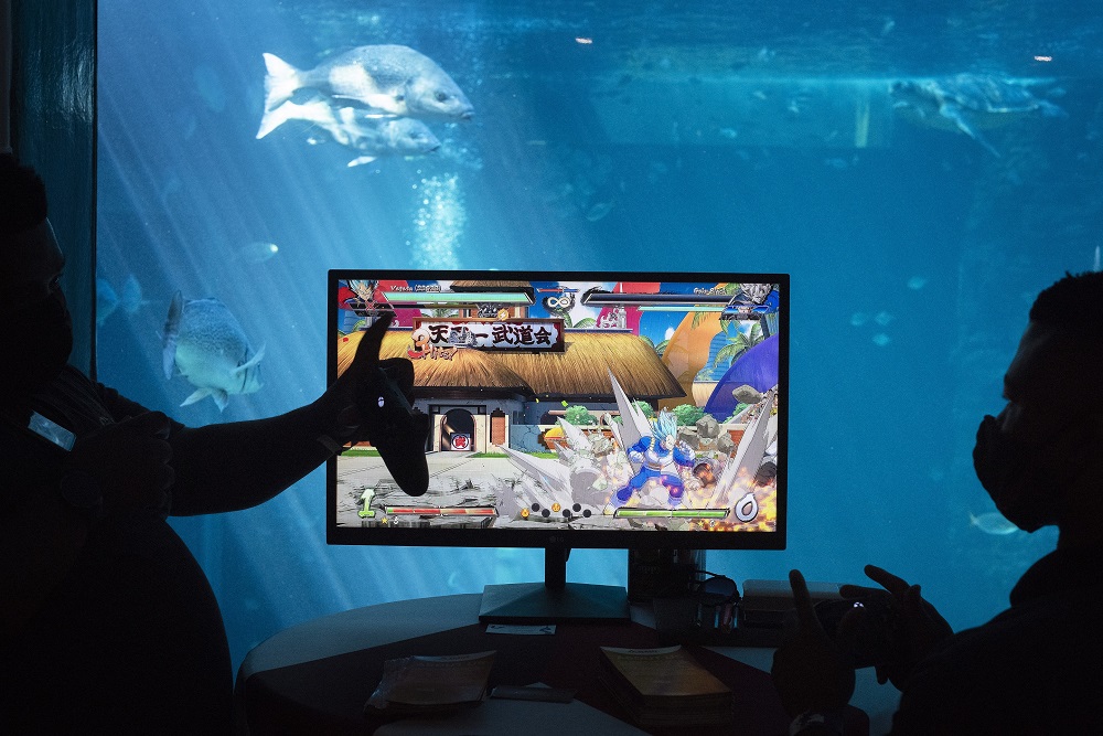 Two participants play a popular game, with fish visible in a tank in the background, at Africa Games Week. u00e2u20acu2022 AFP pic