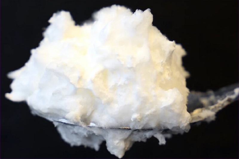 Scientists have discovered how to create ovalbumin, the primary protein in egg white, using fungus. u00e2u20acu2022 Picture  courtesy of VTT Technical Research Center of Finland