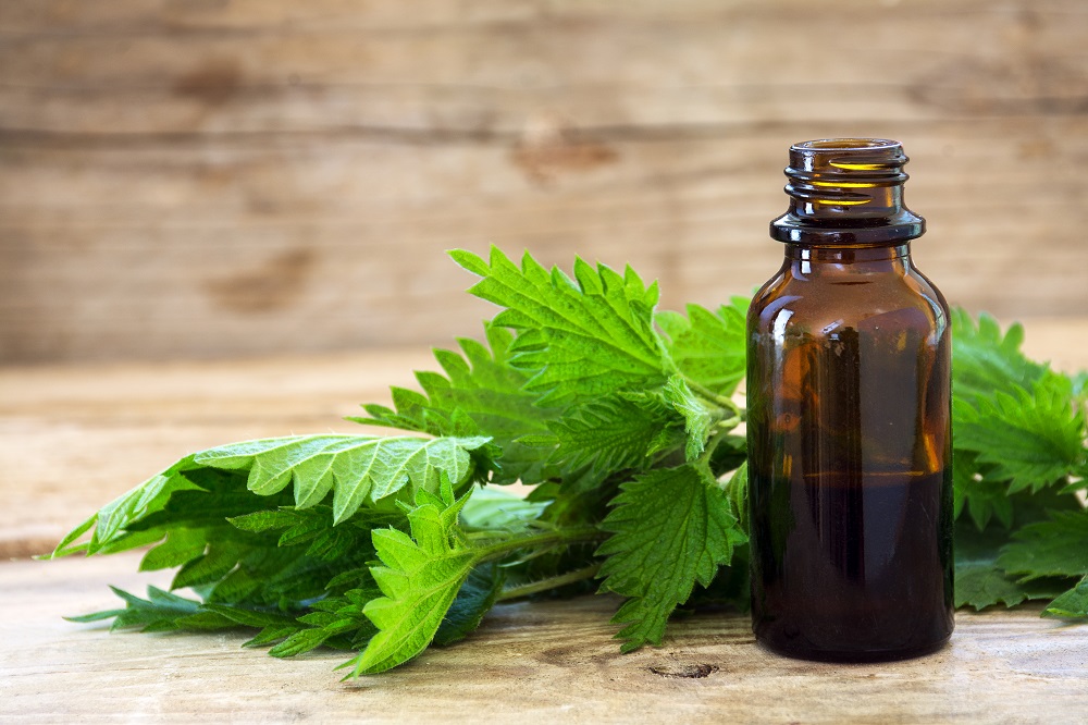 Contrary to popular belief, nettle has many beneficial properties for skin, hair and nails. u00e2u20acu2022 Shutterstock pic