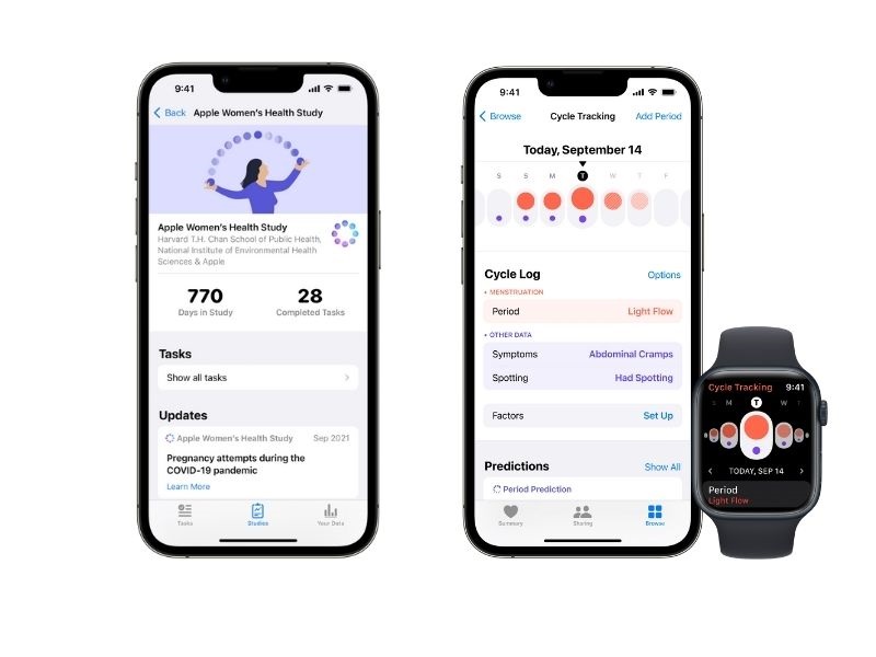 The latest update from the Apple Women's Health Study shared data about polycystic ovarian syndrome. u00e2u20acu201d Picture courtesy of Harvard