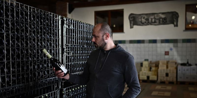 Marco Dogliotti, member and owner with his family of La Caudrina wine cellar, checks a bottle of Asti Spumante in Castiglione Tinella, near Cuneo. u00e2u20acu201d AFP pic