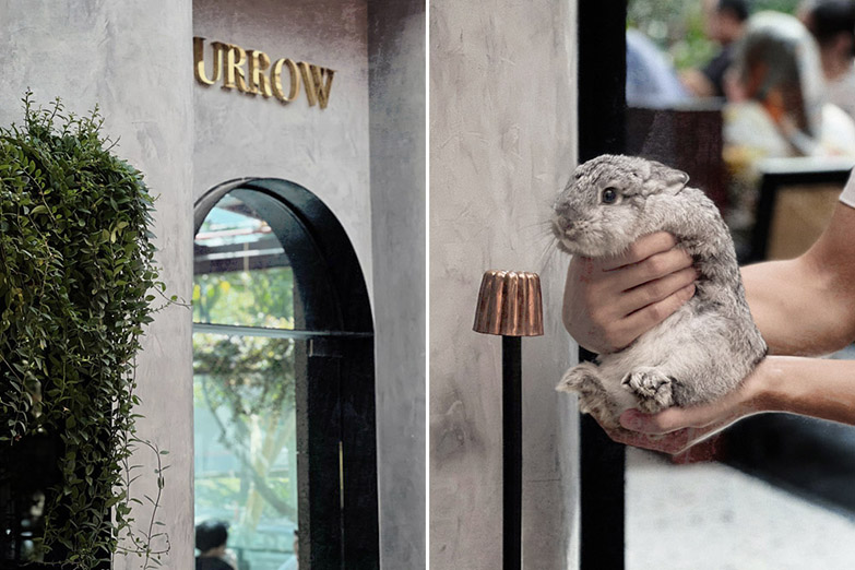 The name Burrow comes from Aimie’s deep fascination with rabbits.