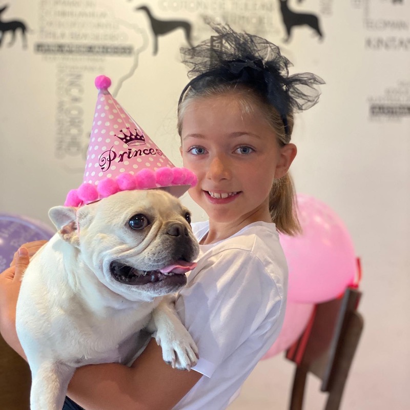 Owners can bring their pets to eateries that are friendly to pets to celebrate special occasions. — Picture from Facebook/ CuBs & CuPs