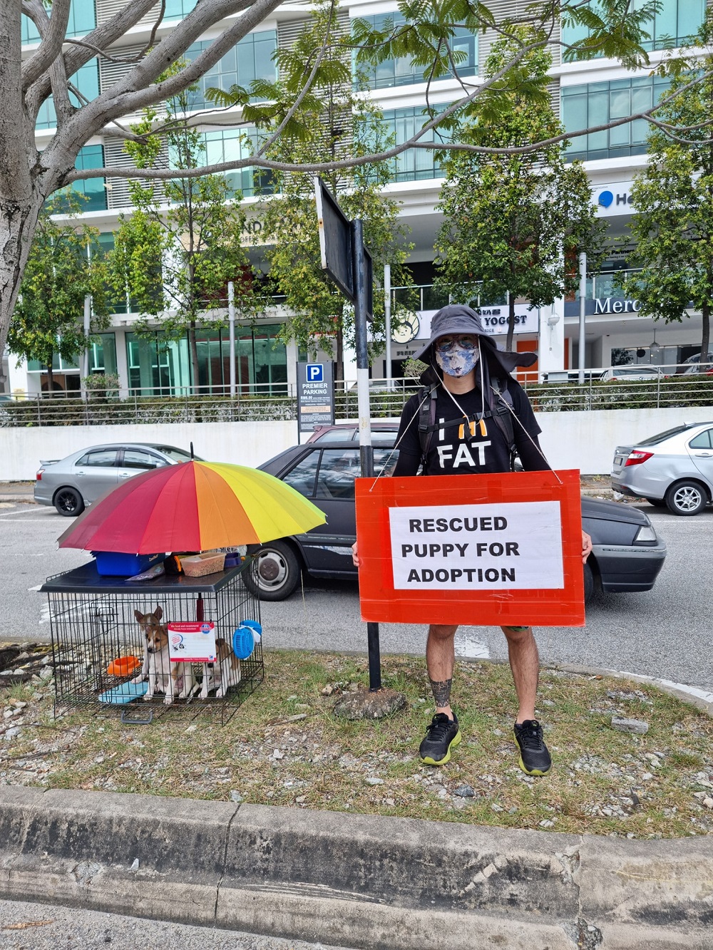 Meet the 40-year-old Francis Poh Chun Tat, the Klang man who stands for hours just to find a new home for strays. u00e2u20acu201d Picture from Francis Poh Chun Tat