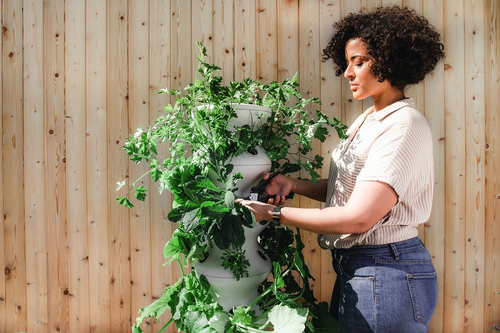 Self-proclaimed u00e2u20acu02dcplant momsu00e2u20acu2122 are flourishing on TikTok. u00e2u20acu201d Unsplash pic