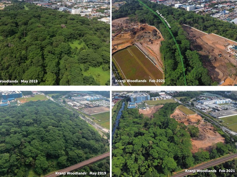 The 25ha site in Kranji, which was illegally cleared, had been set aside for the development of the Agri-Food Innovation Park as part of the Sungei Kadut Eco-District. u00e2u20acu201d TODAY pic