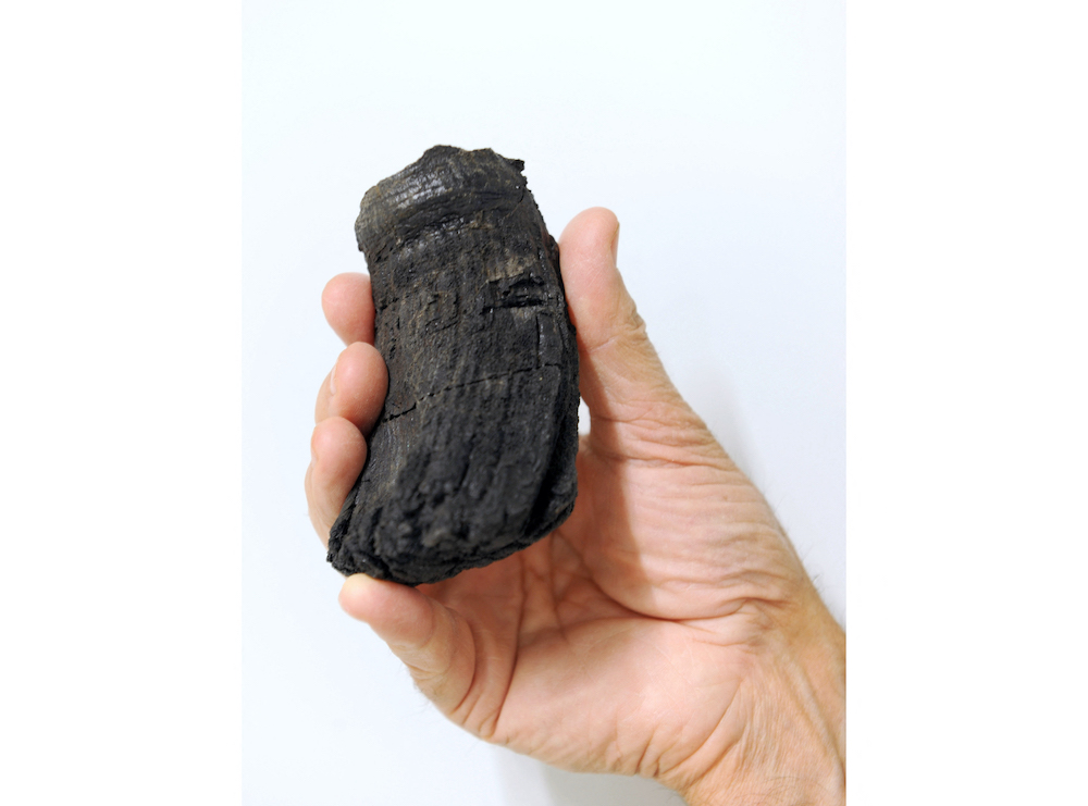 This undated handout photo courtesy of EurekAlert and the University of Zurich shows the root of the thickest ichthyosaur tooth found so far with a diameter of 60 Millimeters. u00e2u20acu201d AFP pic/Rosi Roth University of Zurich/Eurekalert