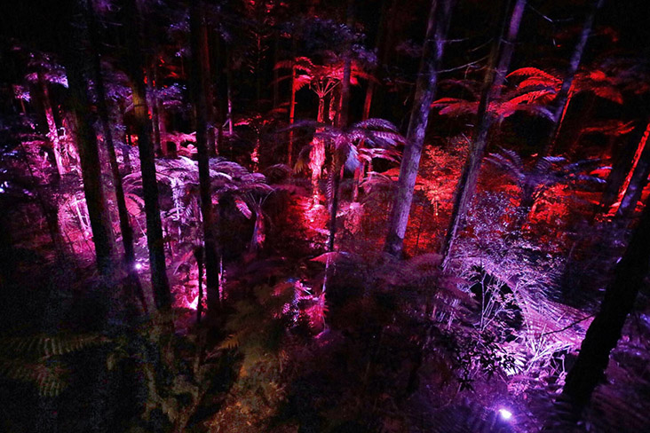 A fairytale forest at night, every branch and leaf aglow with magic.