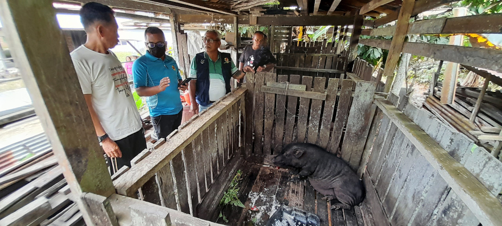 (From left) Empawi Garaji from Rumah Austin Kilat listens to an explanation given by the DVS Sibu officers April 20, 2022. u00e2u20acu201d Conny Banji/Borneo Post pic