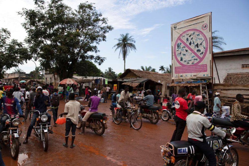 A WWF billboard listing protected species stands in front of a bush meat market in Mbandaka, Democratic Republic of the Congo, October 19, 2018. u00e2u20acu201d Reuters pic