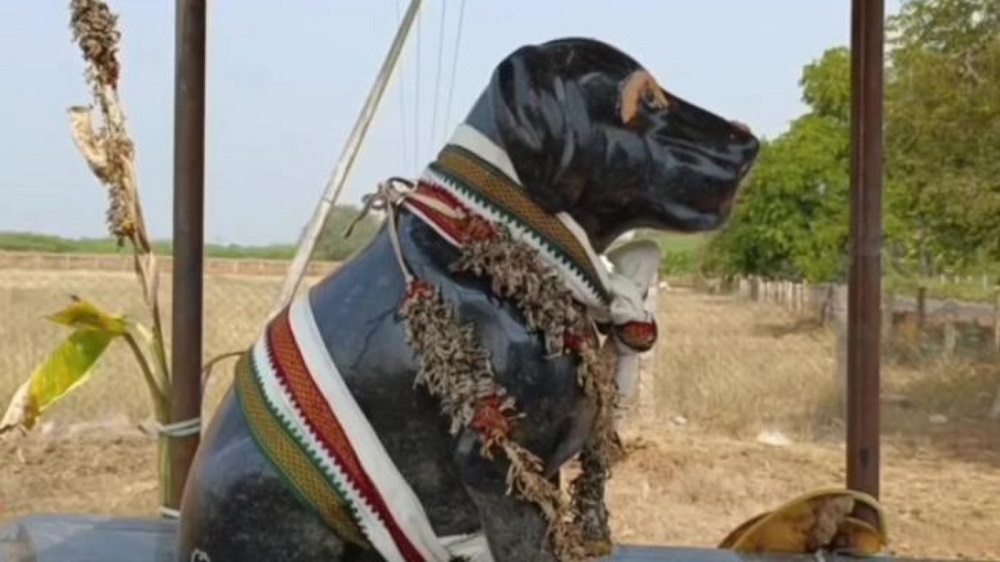 A pensioner in Tamil Nadu, India, put up a marble statue of his dog following its death last year. u00e2u20acu2022 Picture via Twitter/@Dog_express