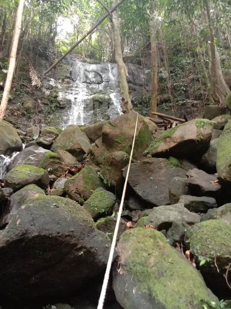 The newly discovered waterfall located deep in the Bung Bratak jungles. u00e2u20acu201d Borneo Post pic