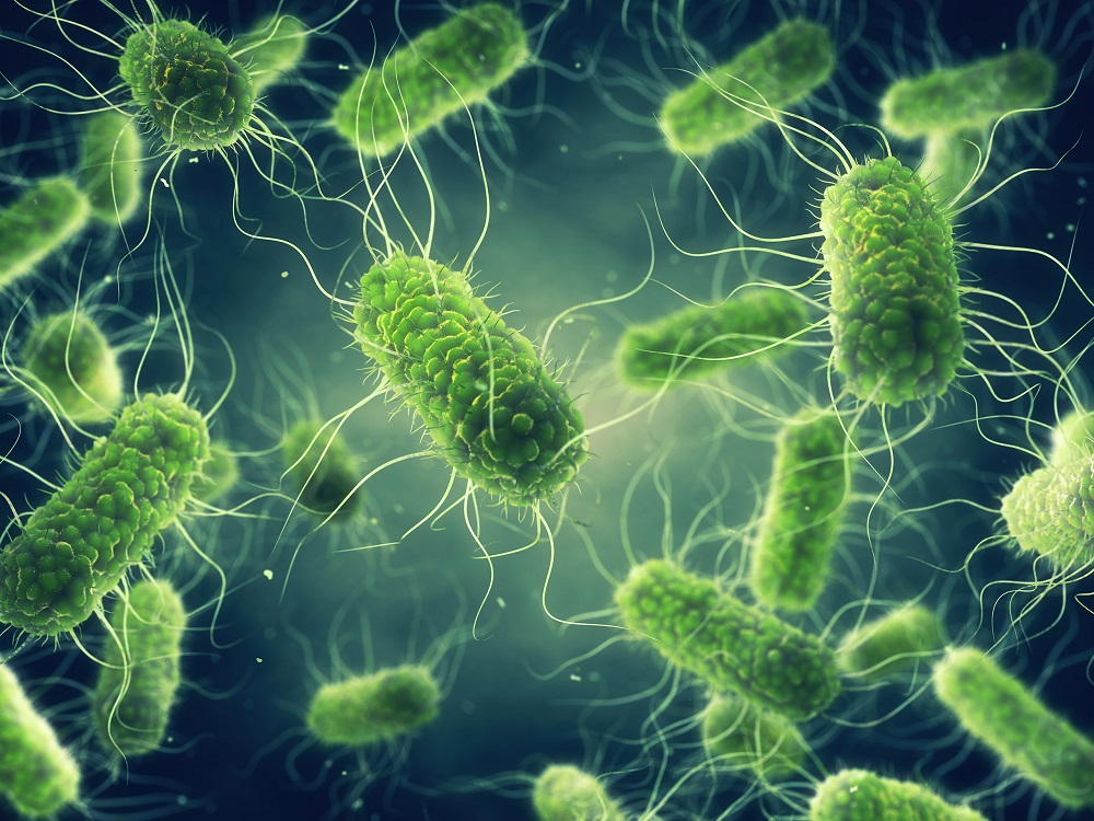 Whether or not a person contracts salmonellosis, the infection caused by salmonella, depends on the type of bacteria and the quantity consumed. u00e2u20acu2022 Shutterstock pic