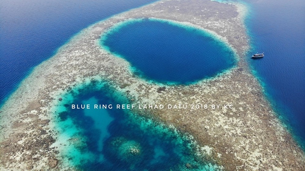 File photo of the Blue Rings Reef off Silam waters in Lahad Datu that was discovered by Glen and his team back in 2017. u00e2u20acu201d Photo courtesy of Pirate Divers.