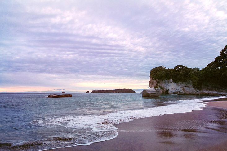 First light across Mercury Bay.