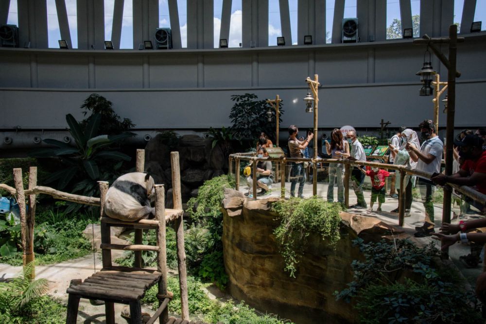 Welcome to the Zoo Negara’s Giant Panda Conservation Centre. — Picture by Firdaus Latif