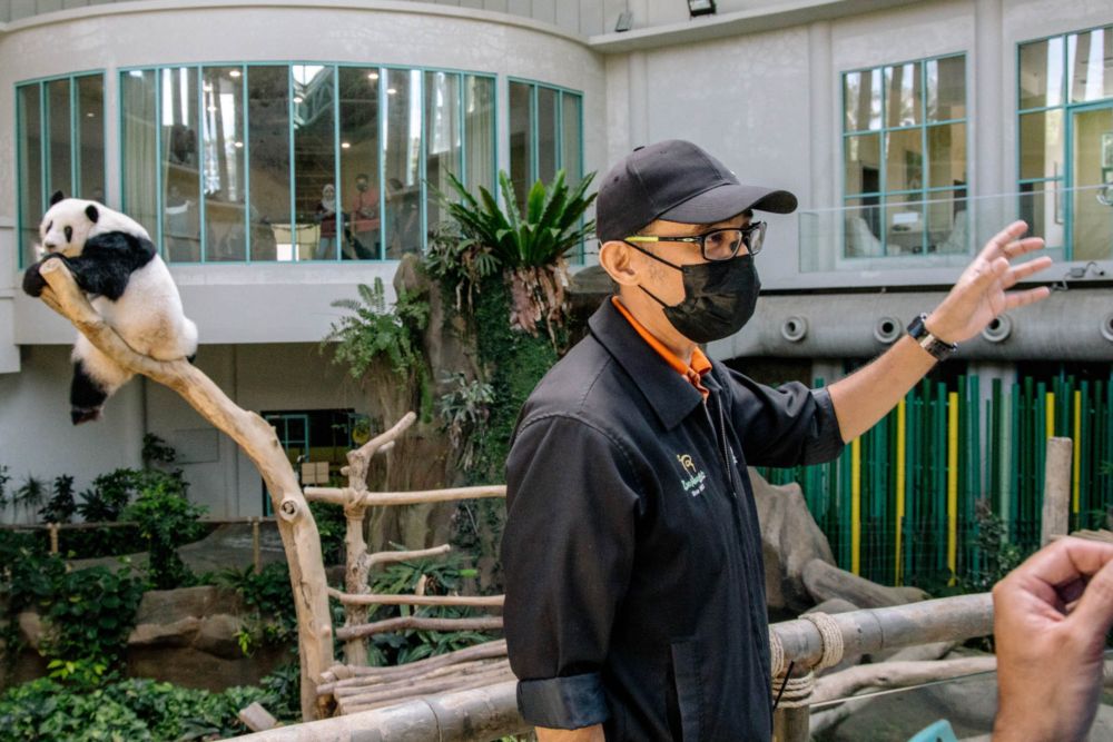 Zoo Negara’s Assistant Curator, Ahmad Nizam Zainudin talking to Malay Mail reporter with YiYi still hanging in the background. — Picture by Firdaus Latif