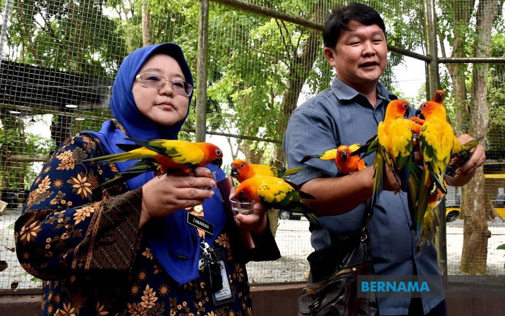 Various new attractions and activities have been created at the Melaka Zoo here involving a cost of RM5 million in an effort to lure more visitors. u00e2u20acu201d Picture via Twitter/Bernama