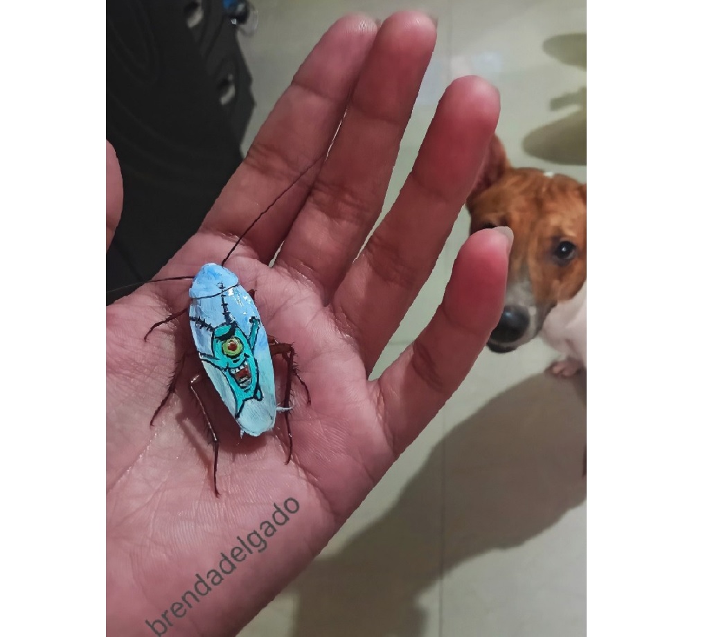 Filipina artist Brenda Delgado is gaining social media presence for using cockroaches as her art medium. u00e2u20acu2022 Picture via Facebook/ Brenda Delgado