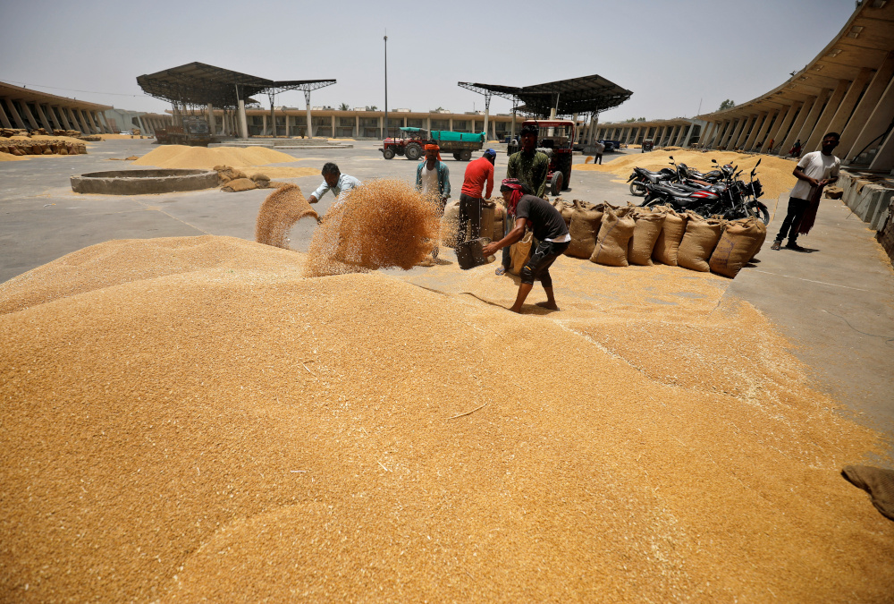 Workers fill sacks with wheat at the market yard of the Agriculture Product Marketing Committee (APMC) on the outskirts of Ahmedabad, India, May 16, 2022. u00e2u20acu201d Reuters pic