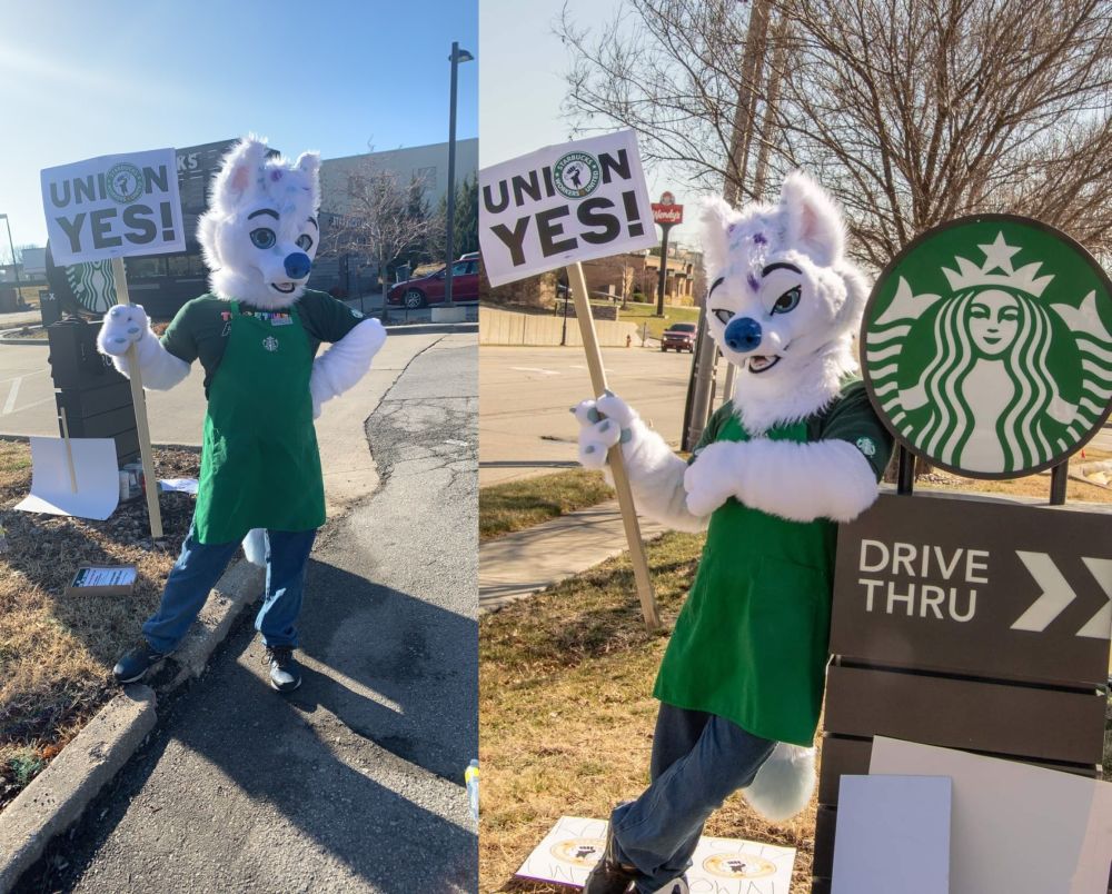 A staunch advocate for labour unions, Michael Vestigo says his fursuit helps him advance the cause. u00e2u20acu201d Pictures via Twitter