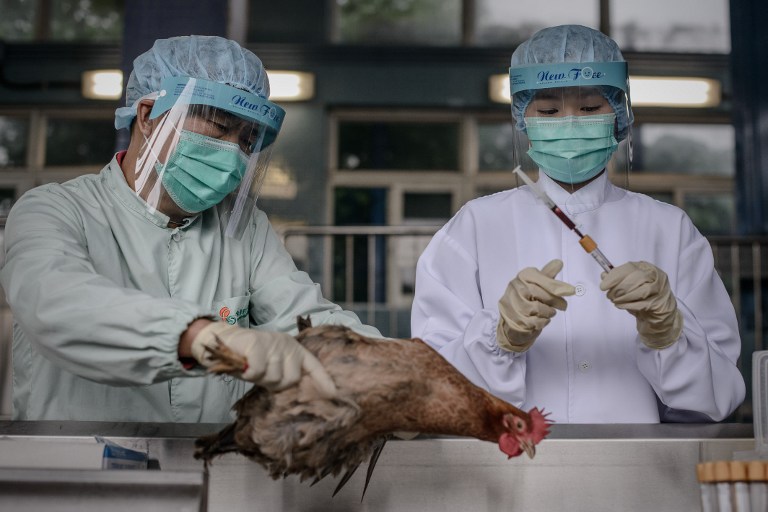 In this file picture taken on April 11, 2013 officials test poultry at the border with mainland China in Hong Kong as part of measures against the spread of the deadly H7N9 bird flu. u00e2u20acu201d AFP pic