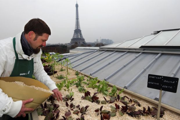 Once the spirulina algae has been collected, it is hand rinsed and spun dry in a modified washing machine. u00e2u20acu201c AFP pic