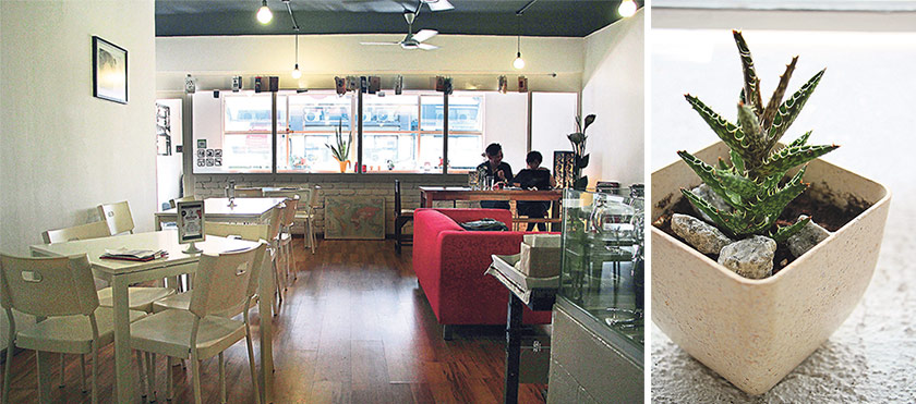 The sunlit interior of Await Café (left). Cactus thrive in the café’s sunny balcony (right)